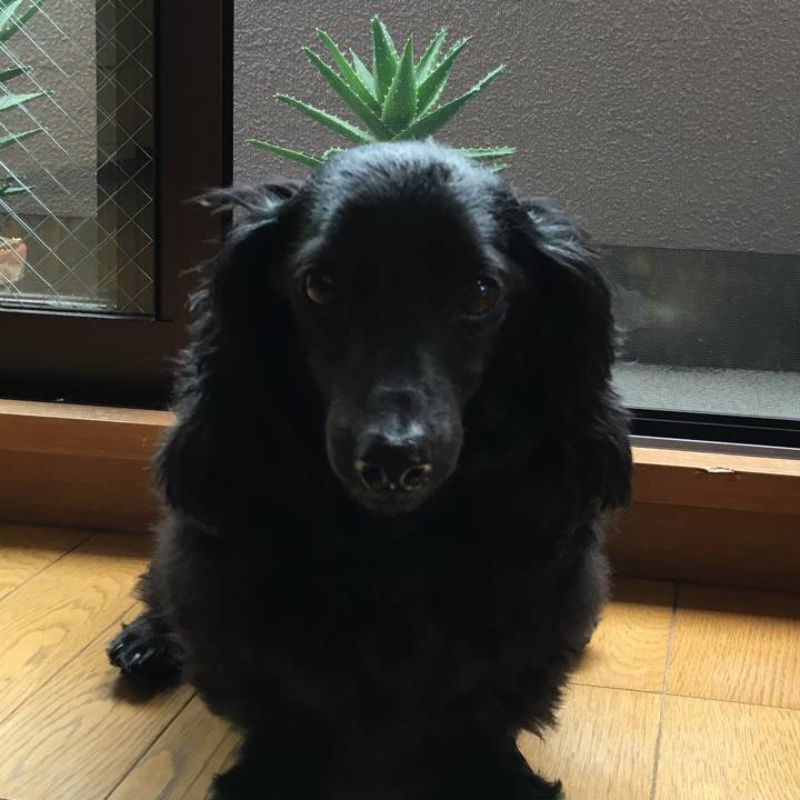 5beab30d d5bb 4222 b154 997e760040ed