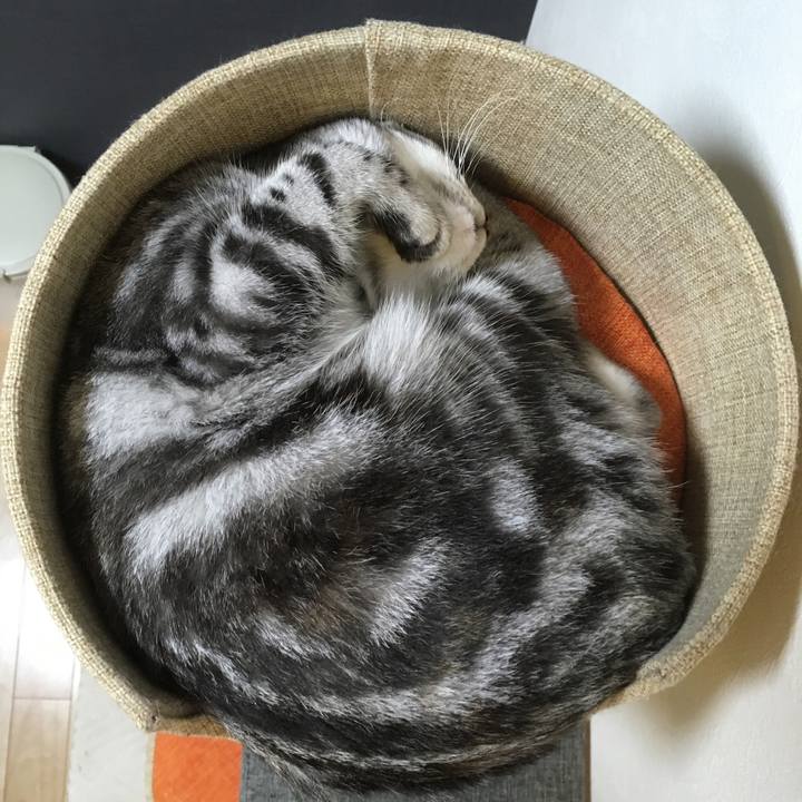 5beac604 063c 49a8 8b31 f709ef291fbd