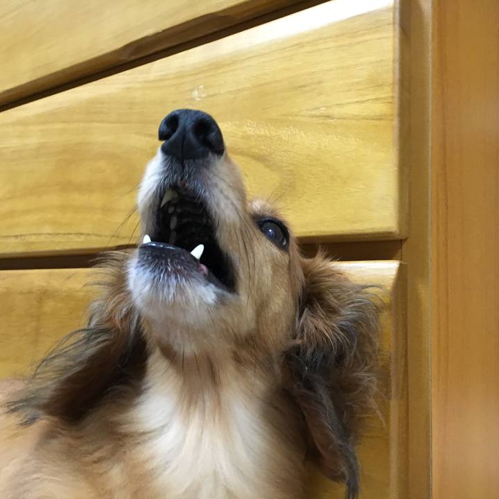 5beae011 6be0 47ee 9eaf e4318340ec19