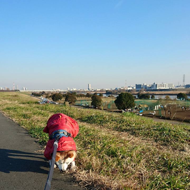 5beaf09e 6f40 465c ba69 4f55ce7cacb8