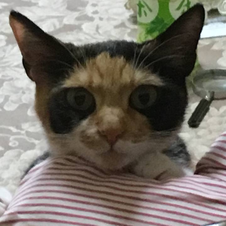 5beb002b cd46 496e 9008 4b0d5f001aa5