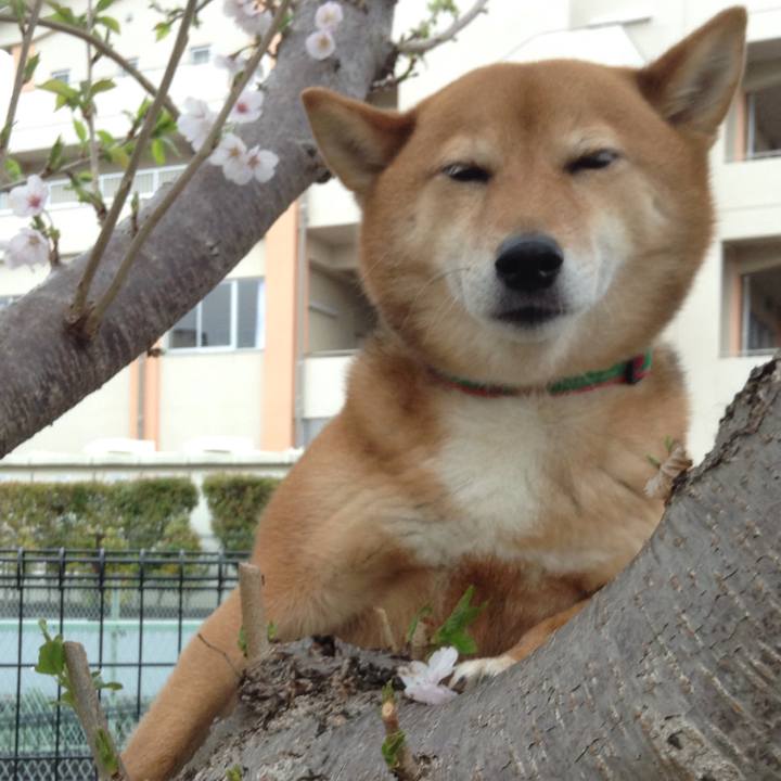 5beb140b d243 4bd6 bd24 3b8bd1958d15