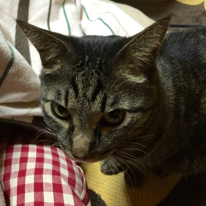 5beb500f a0b3 4853 94be 44002d1c2135