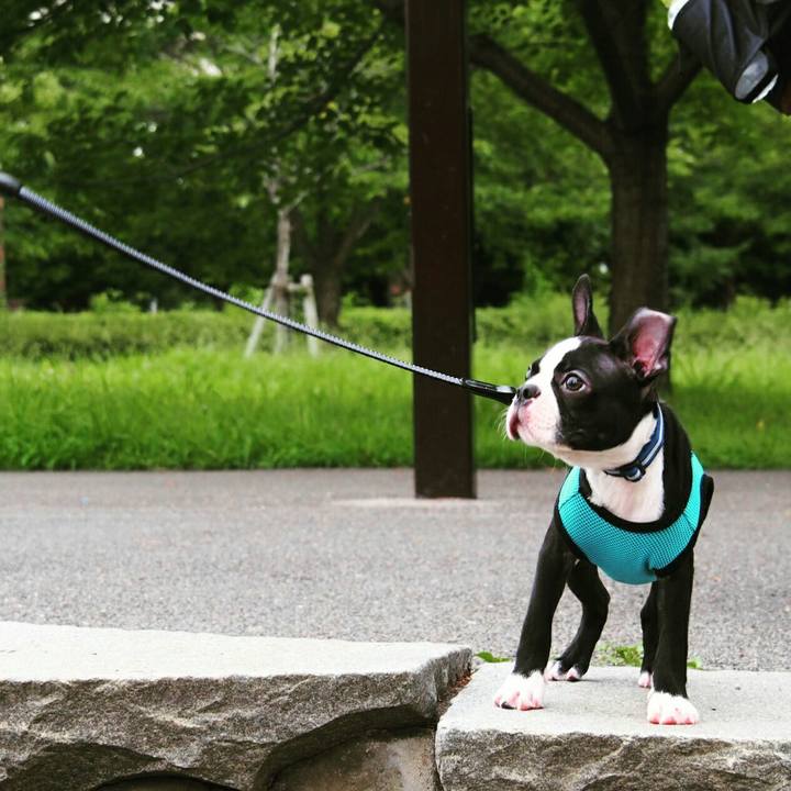 5bebb841 0ff9 411a b958 f9599c5788dd