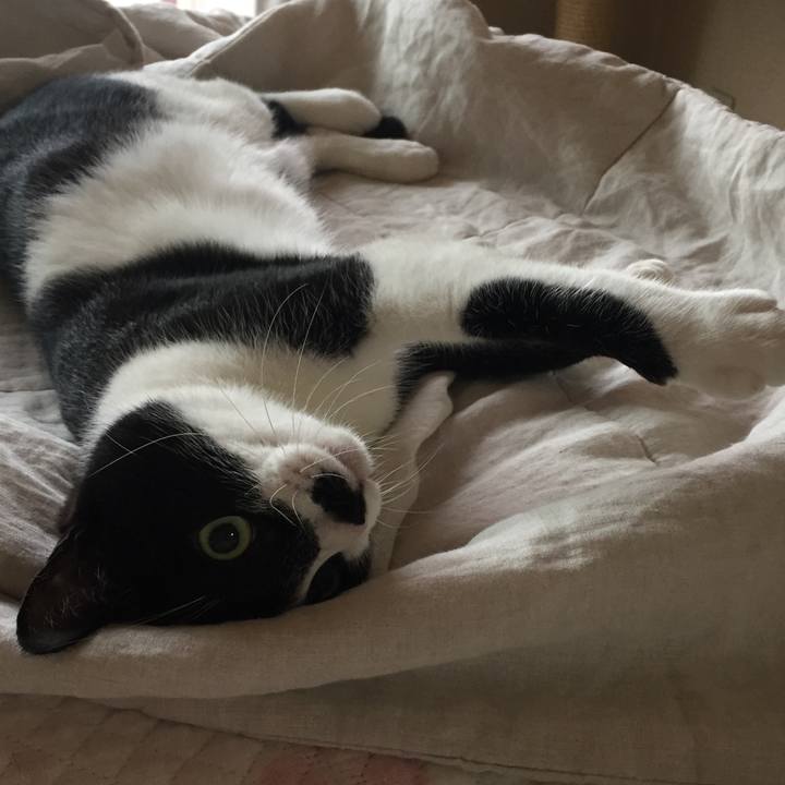 5bec034e bea0 4e88 90fe 03a83e8a99ab