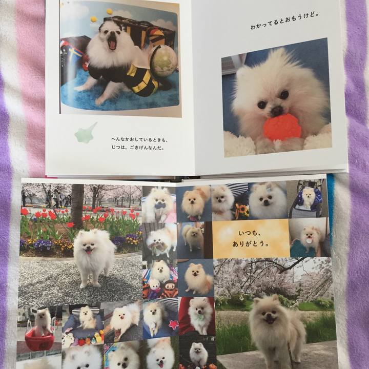 5bec4aac d1d8 4f03 83b4 202ad68cd800