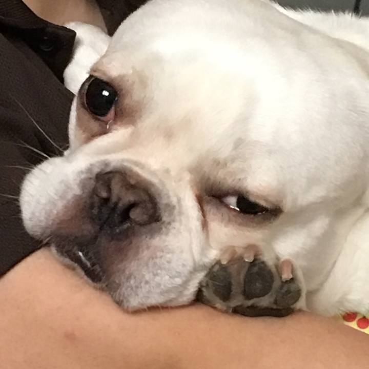 5becee9c fbfe 41b2 86a6 9c072fdde6bf