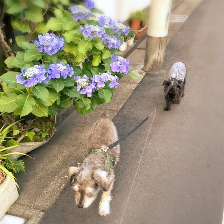 5becf8df b406 4766 9ef4 d6b7dce4fa01