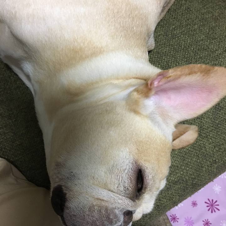 5bed0ac2 afb2 4fbd 8f93 d3d619c4faa0