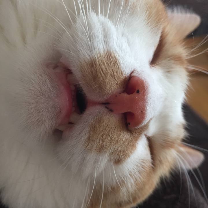 5bedb034 1ec8 4425 8929 a7f648fe52f7