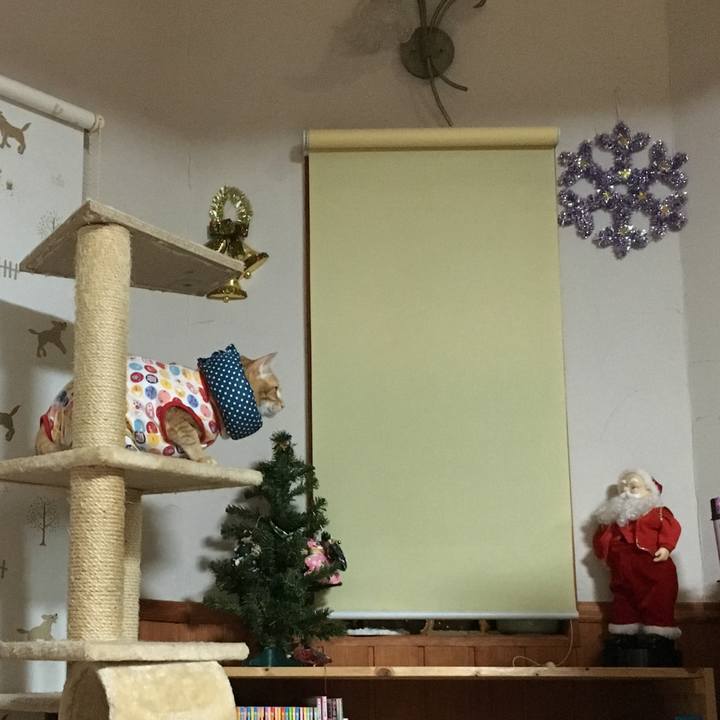 5bee0cd1 02ea 443e a9ad c4d35ffbaa15