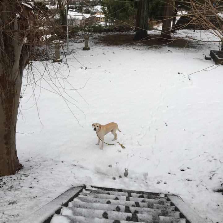 5beef1a6 43e8 4f07 a509 13c23e1f36c2