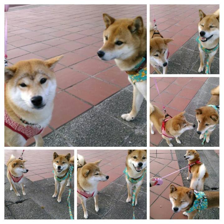 5bef4653 0ced 47fa 8705 9f00b92b66a5