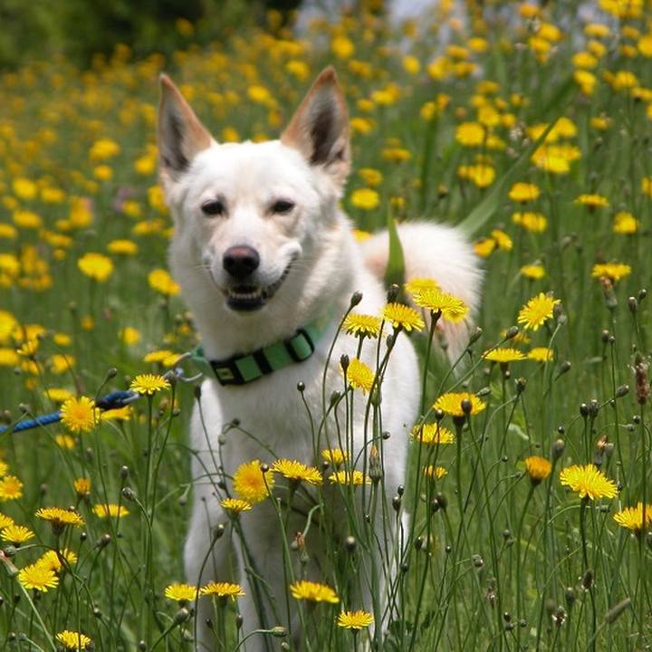 5befe07f 19d5 48dc ba13 52d59c58ea44