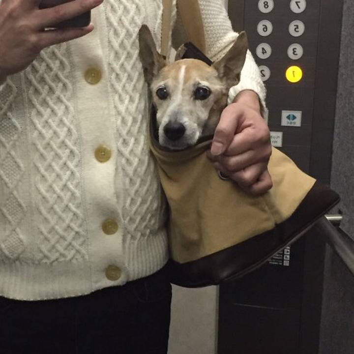 5befed84 697e 4fa9 b0b0 1f9670515cc9