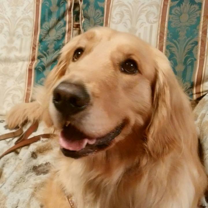 5bf038cd d532 43f8 b06c 388f53dee711