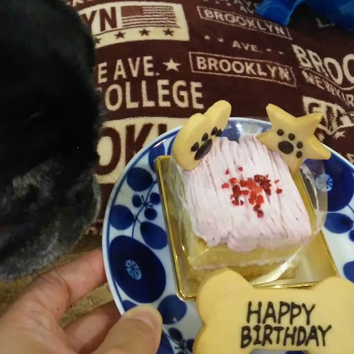 5bf04785 b5c2 4fb0 8e5c 3b8188a540e9