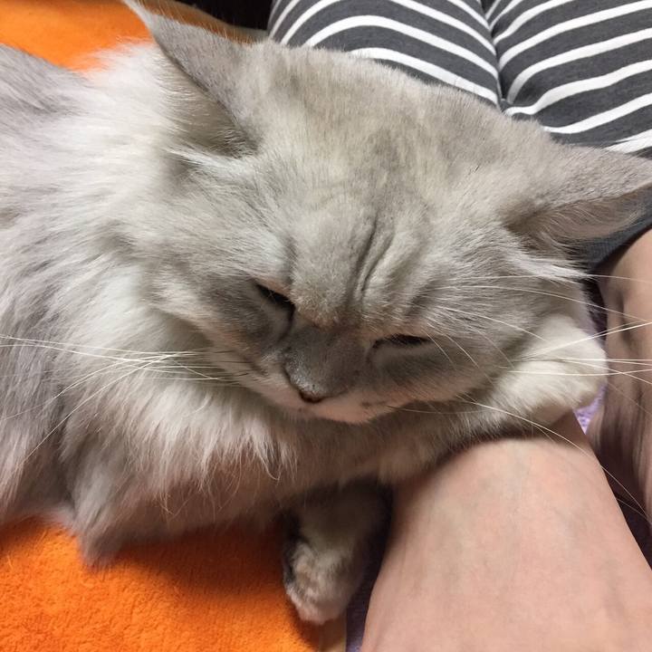 5bf065bb 5d3f 4463 a734 d1f3363fd813