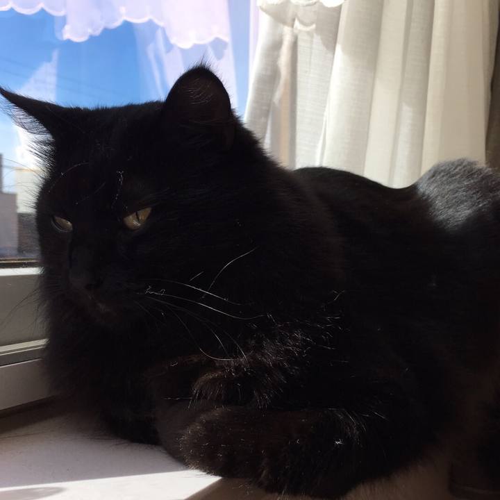 5bf119b7 5126 47db b771 da148deeee82