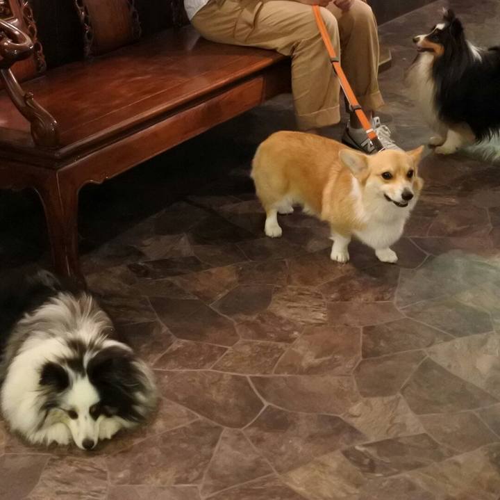 5bf11f71 b39e 4d19 abb0 867ad6282efb