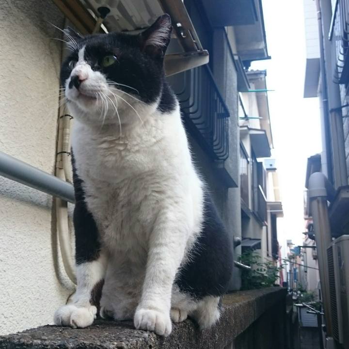 5bf1cc70 013b 4c30 a1fd 71148f0d1a85