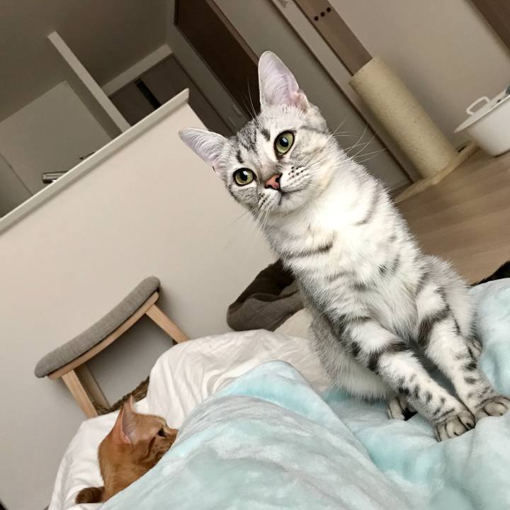 5bf1ec2c 3b85 49f4 b9c0 aa54f8a6451b