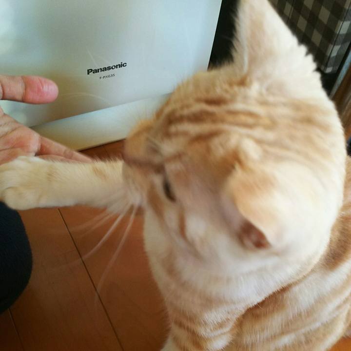 5bf2384f 7a4e 4abc 8f5d 8de966731e5c