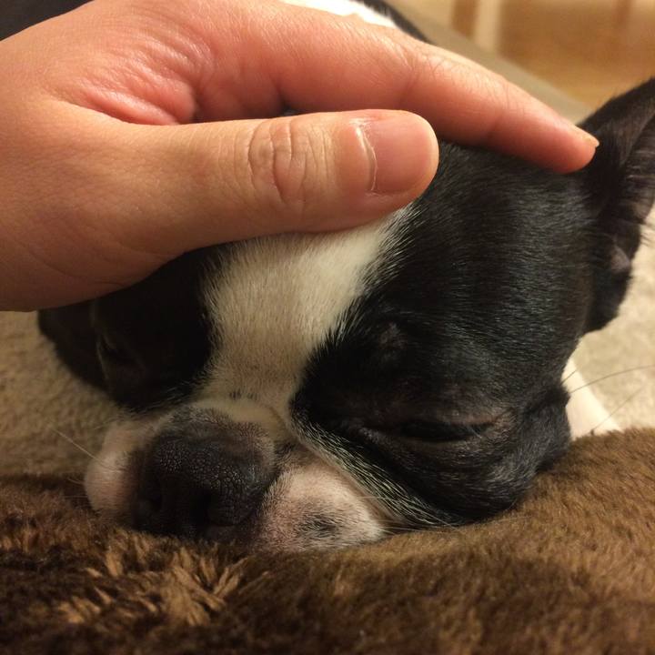 5bf24bf0 e326 41d0 98ee c820b817c198