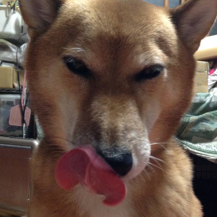 5bf24f46 a55e 43f2 a303 c4e87769827e