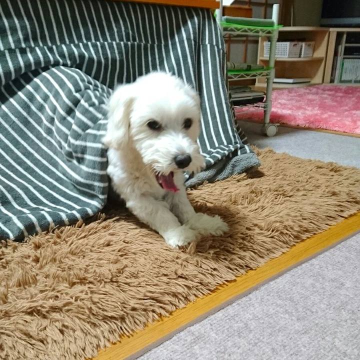 5bf287ce 2aab 4ec7 989d bcf7ba2db106