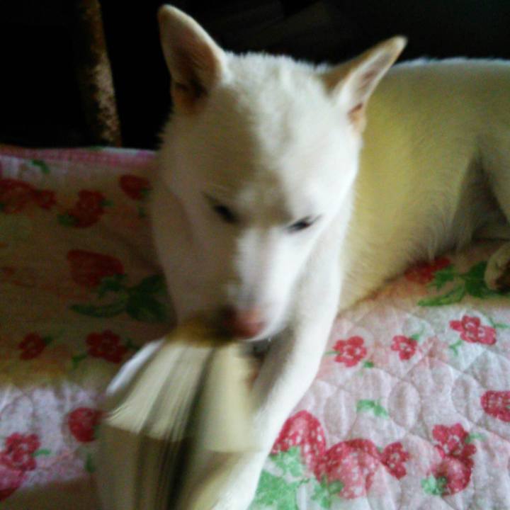 5bf2c09f 8147 4d8b 97d5 19512ac254b7