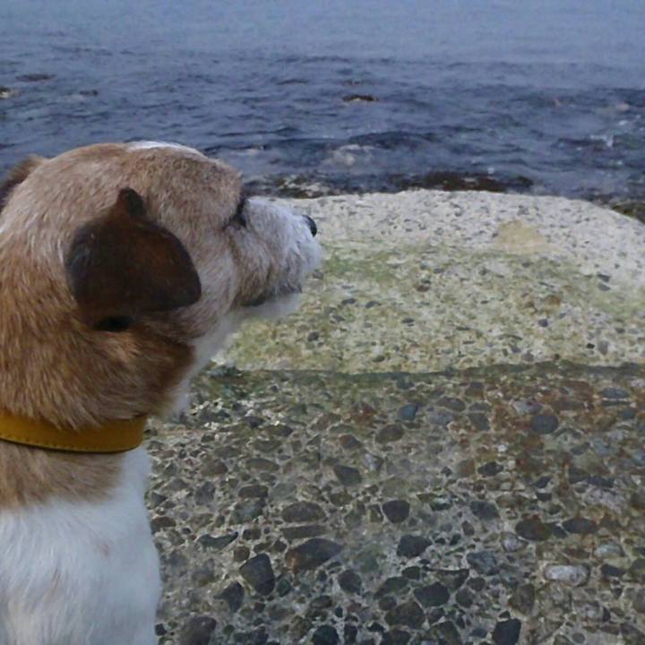 5bf31d9d 30b5 4ce0 85b0 f4dde1f41d86