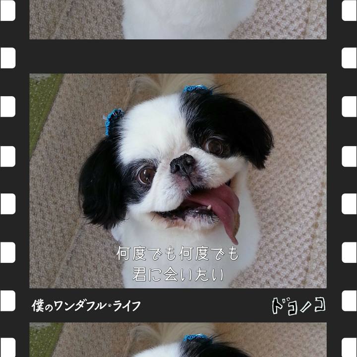 5bf32106 f079 4c0b a8ed 5932ac3e4ee4