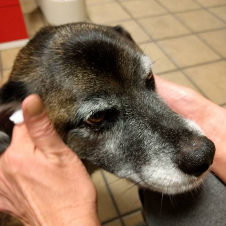 5bf3d863 8535 4abe 9007 c3285c56bcc9