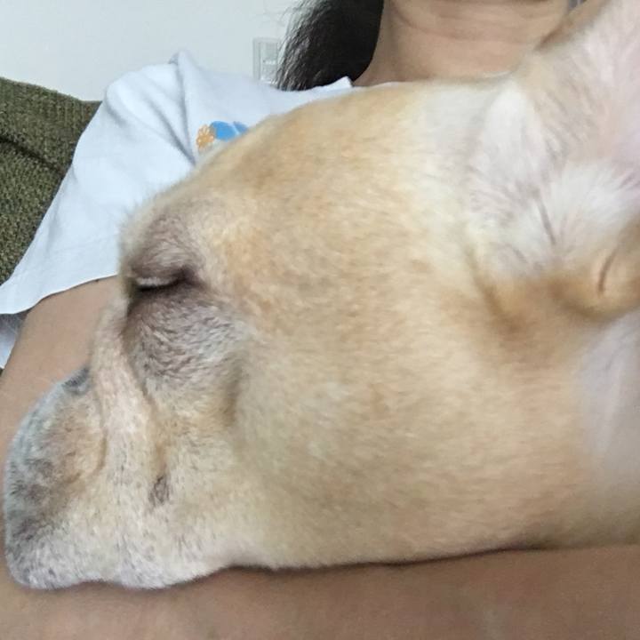 5bf46025 a896 403a a8c0 5f31cb309a84