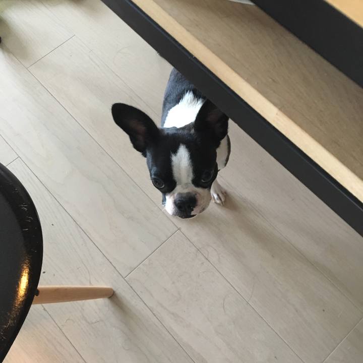 5bf55d7c 8ae9 4f8c 95dd 2ee014f18067