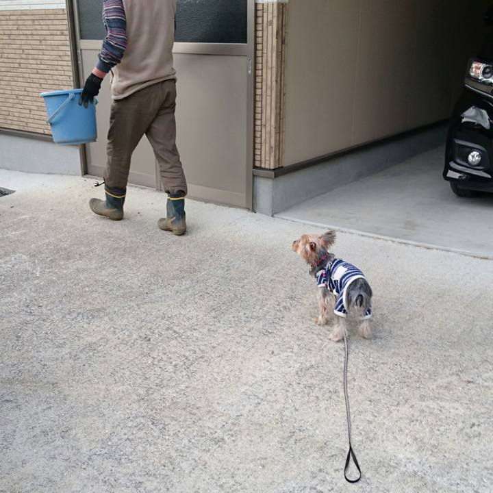 5bf595c0 fd8d 49d4 9f31 a38643a7d569