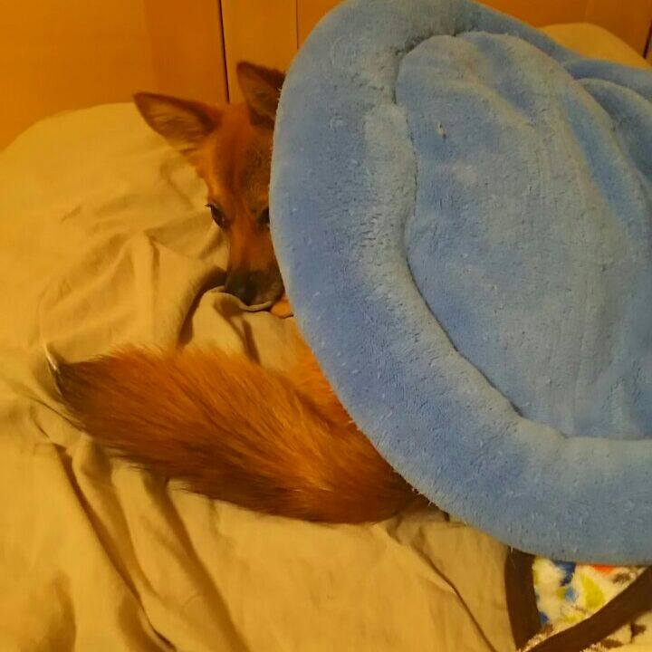 5bf69aee 4c54 424e 923b bbe29eb19b73