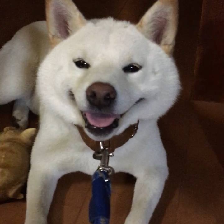 5bf6cd0d 0eb9 415b 8f85 28269e70c58c