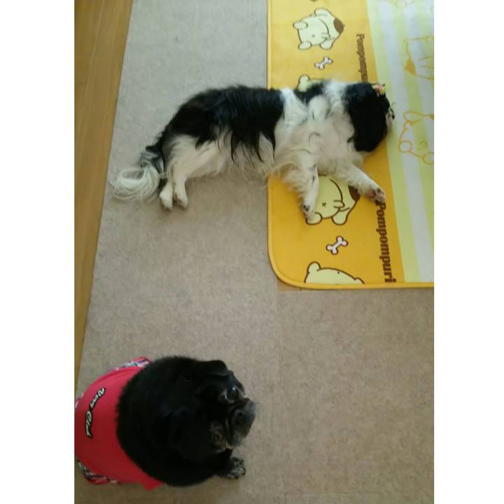 5bf73108 a05f 4742 bae5 e538e33d8555