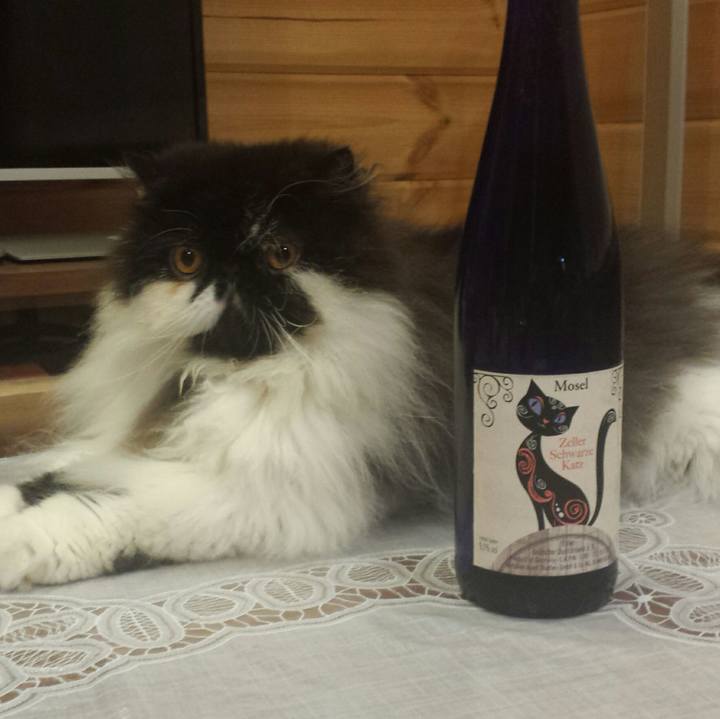 5bf7d109 8e72 451a b077 421574902b0b