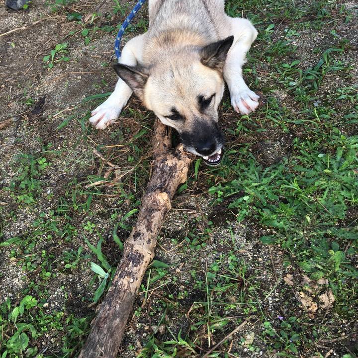 5bf92be2 eaea 4746 b696 d6c9e0b99219