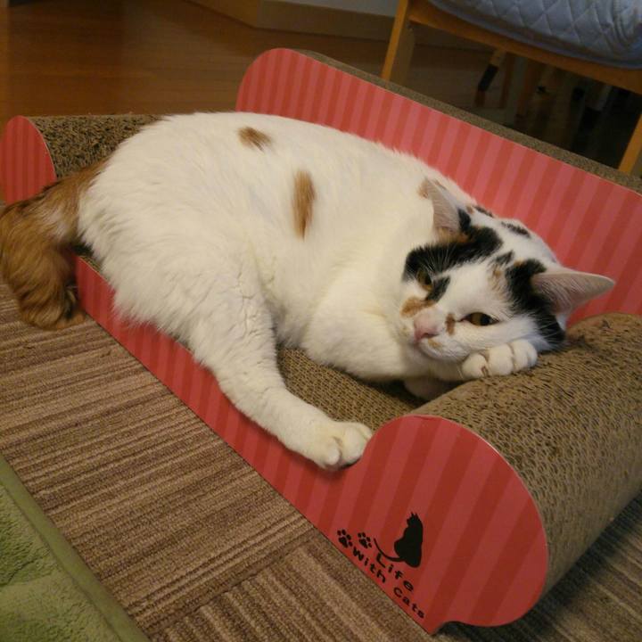 5bf96e89 5765 43ca 9cc9 e54d9eafbaaf