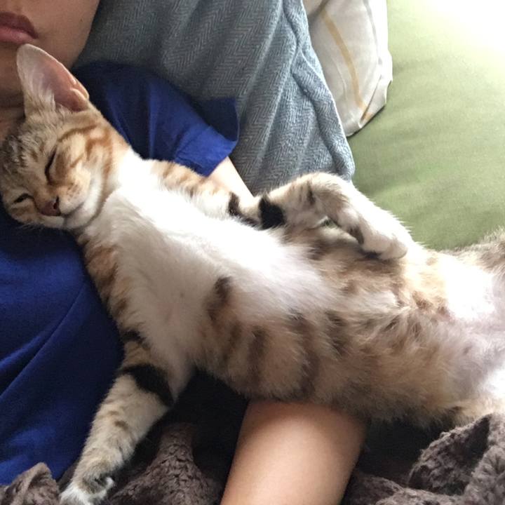 5bf98891 433c 4369 beb6 a5775082b6c6