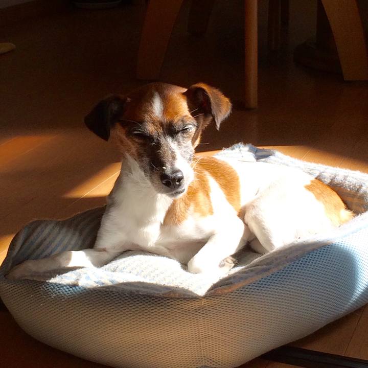 5bf9b8ae 374e 4484 b324 4b0c9ef30ae6