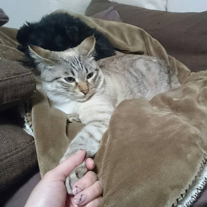 5bfa1af1 6235 4ddd ac77 1d3ff2eb4b2f