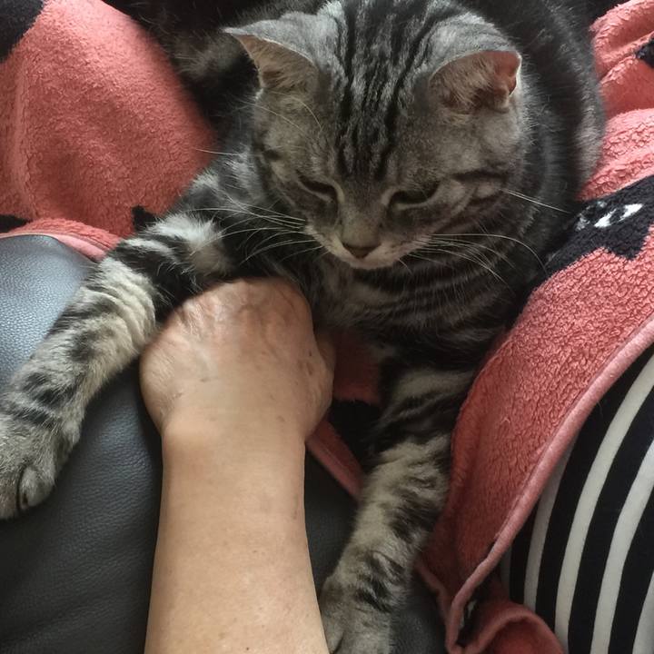 5bfa6e29 498f 4d1c a42d 23257cc7979b