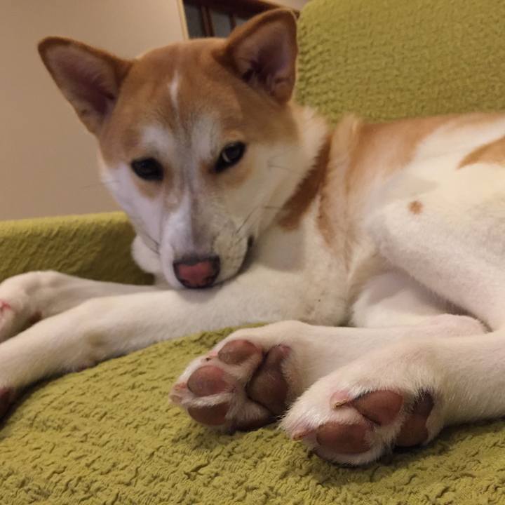 5bfb7609 3e77 4a32 9f21 7bd076a91ff9