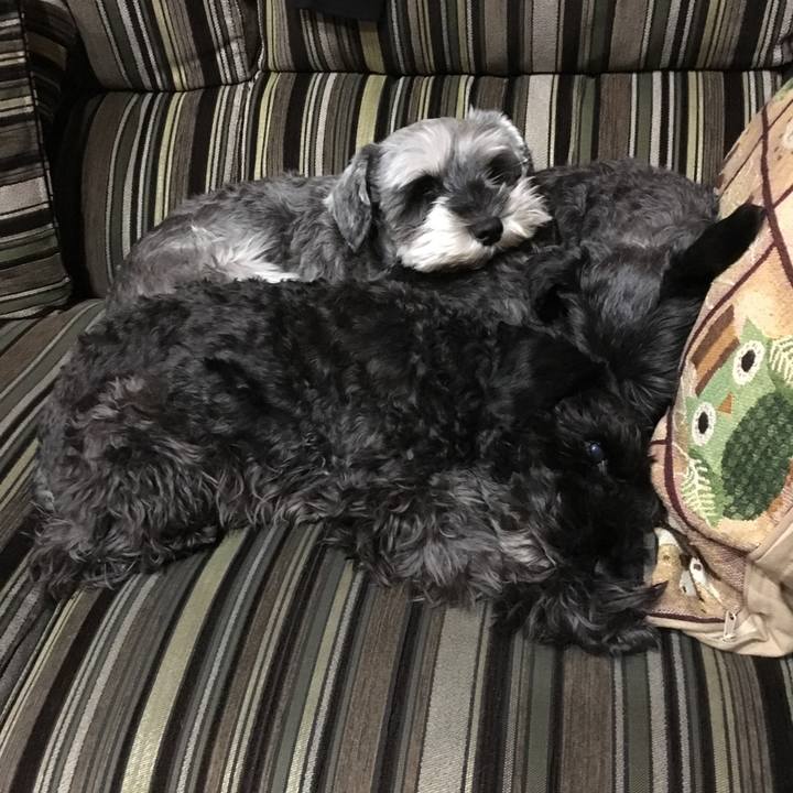 5bfbb01c 2122 4e2a 8867 849f3d852c4b