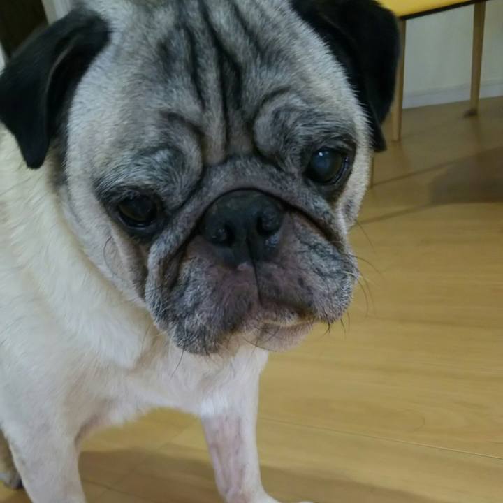 5bfbf2b7 c488 43bb 979a f72be41ff245